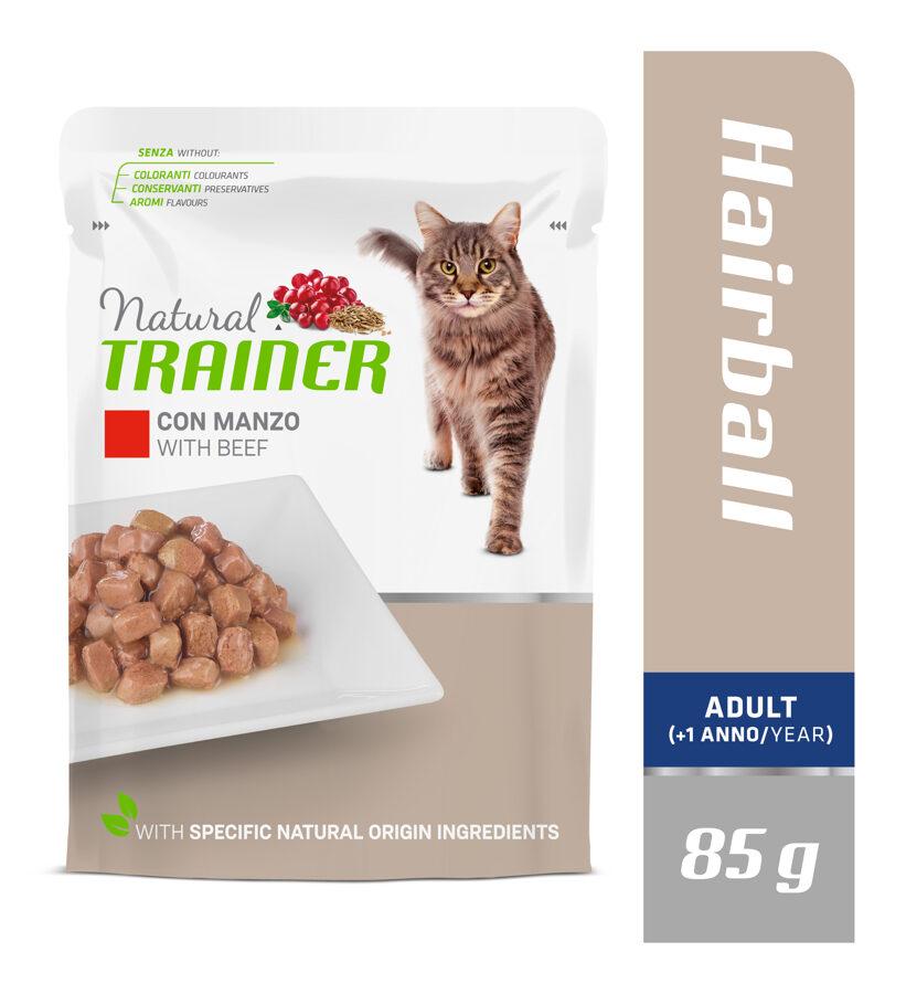 Trainer Hairball with Beef