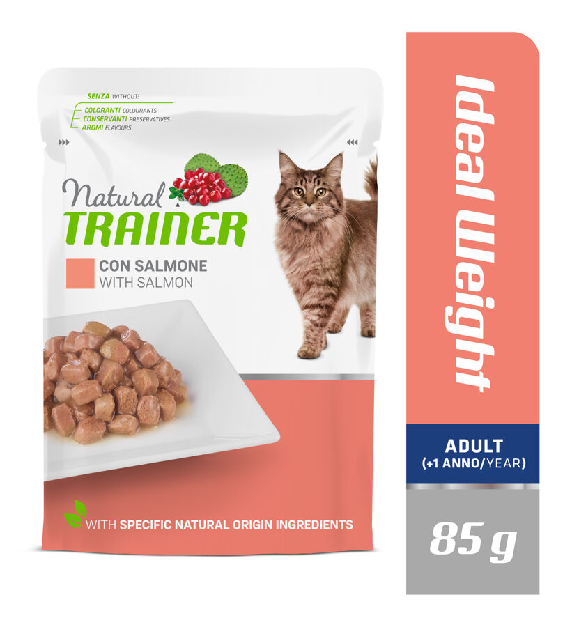 Trainer Ideal Weight with Salmon